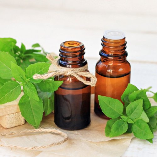 Эфирное масло Базилика  